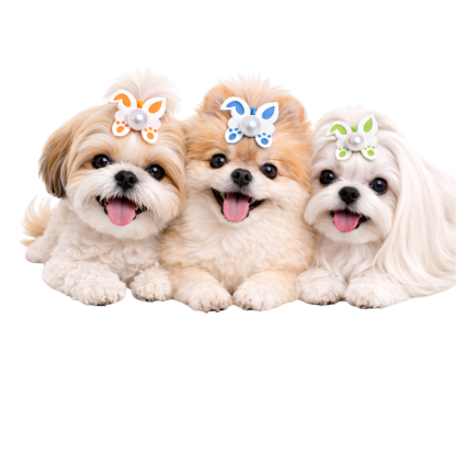 L70811 ORELHINHA PATINHA - 15 UN