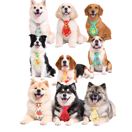 G267 GRAVATA FRUTINHAS