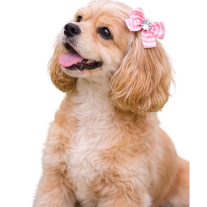 L10722 LAÇO PONTA LISTRADO C/CRISTAL - 24 UN