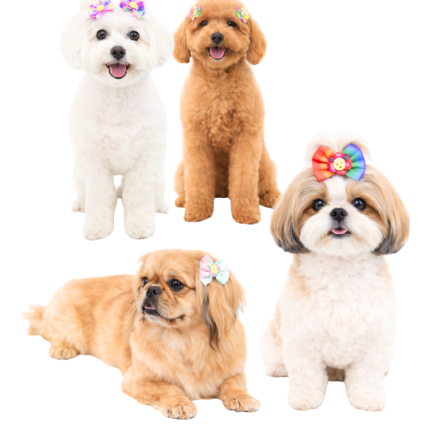 L10249 LAÇO GORG. PRIMAVERA - 30 UN