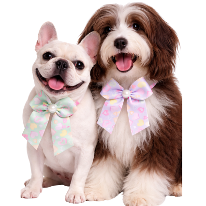 L10925 LAÇAROTE LOVE GORG - 20 UN