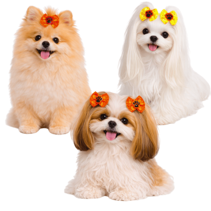 L11689 LAÇO COM ENFEITE DE PATINHA - 30 UN