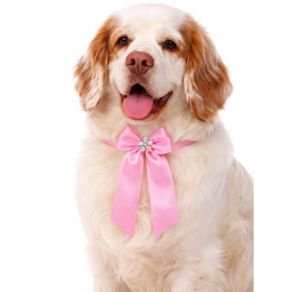 L10910 LAÇAROTE CETIM C/CRISTAL - 20 UN