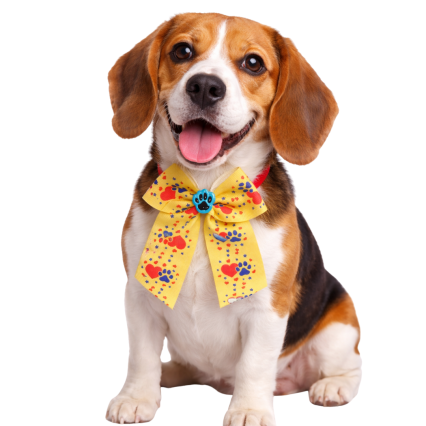 L10925 LAÇAROTE LOVE GORG PATINHAS - 20 UN