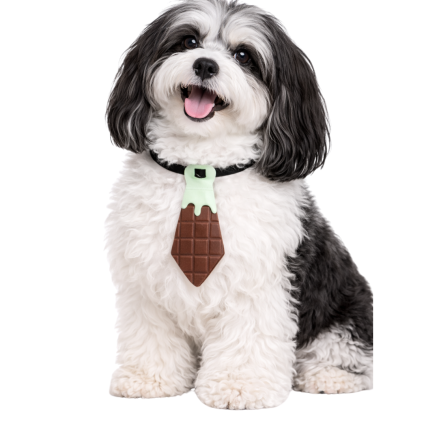 G7011 SOCIAL PASCOA - 20UN