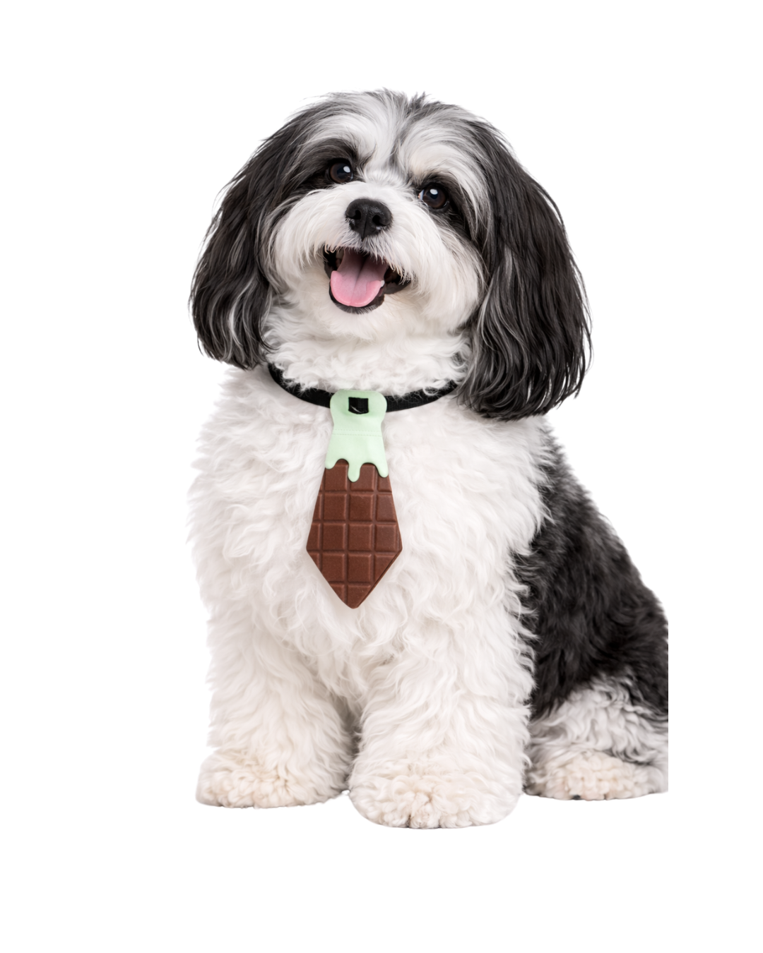 G7011 SOCIAL PASCOA - 20UN