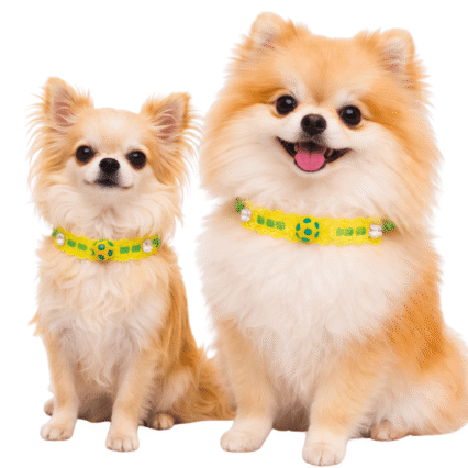 L921 GARGANTILHA PASSA FITA BRASIL - 20 UN