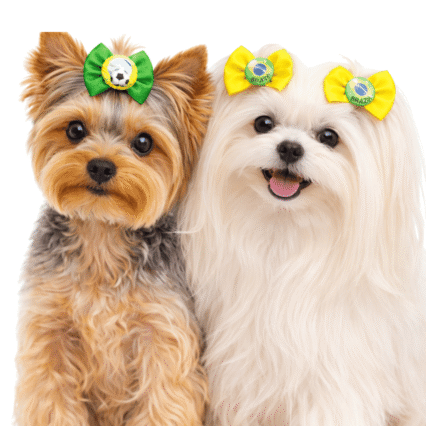 L9131 LAÇO DO BRASIL - 30 UN