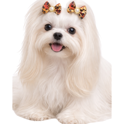 L1320 LAÇO LUXO ESTAMPADO ANIMAL PRINT - 30 UN