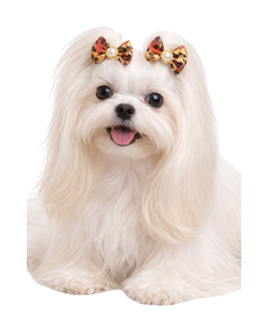 L1320 LAÇO LUXO ESTAMPADO ANIMAL PRINT - 30 UN