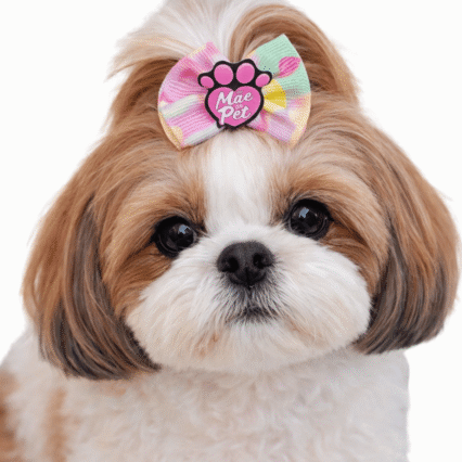 L10251 LAÇO LOVE MAE DE PET - 30 UN