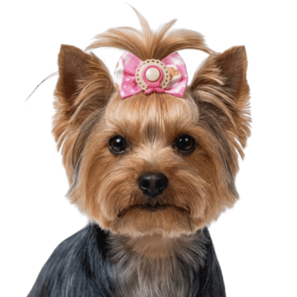 L1166 LAÇO ESTAMPADO MEIGO - 30 UN