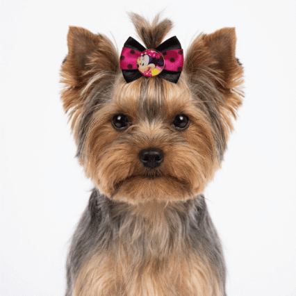 L1010175 LAÇO MINNIE - 30 UN