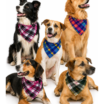 B368 BANDANA XADREZ - 10 UN